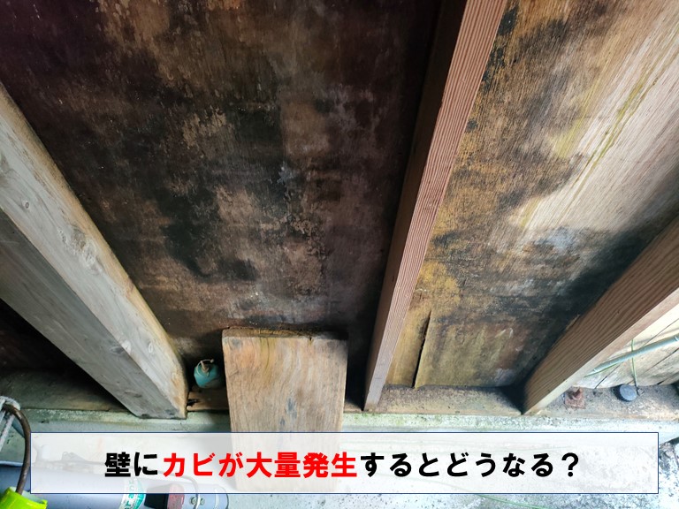 岩出市　壁にカビが大量発生したらどうなる？